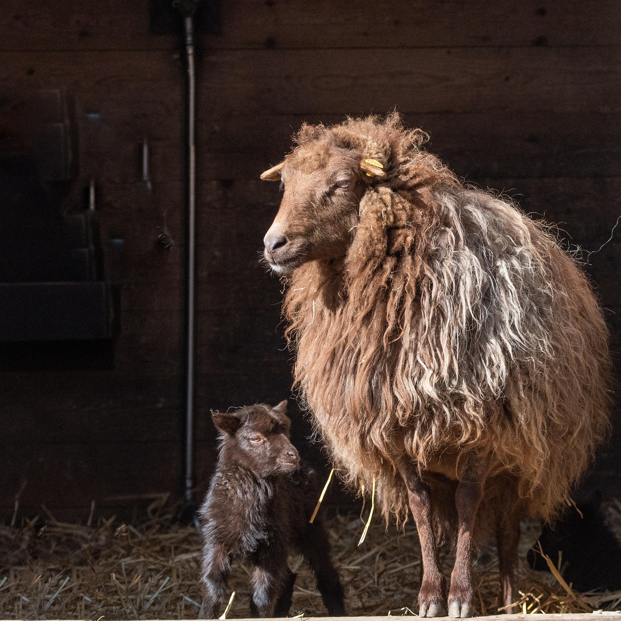 浮気の証拠として相手の顔写真を記録する方法は？