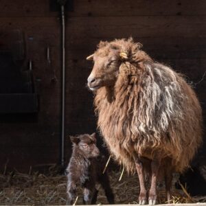 浮気の証拠をウェアラブル着信証明で見つける方法は？