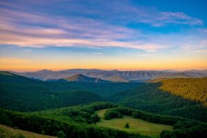 合法的な浮気調査の範囲とはどこまでか知っていますか？