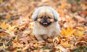 ゴミ箱の中身で浮気が分かる方法とは？