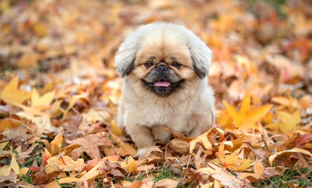 浮気の疑いがある時の調査方法はどうすればいい？