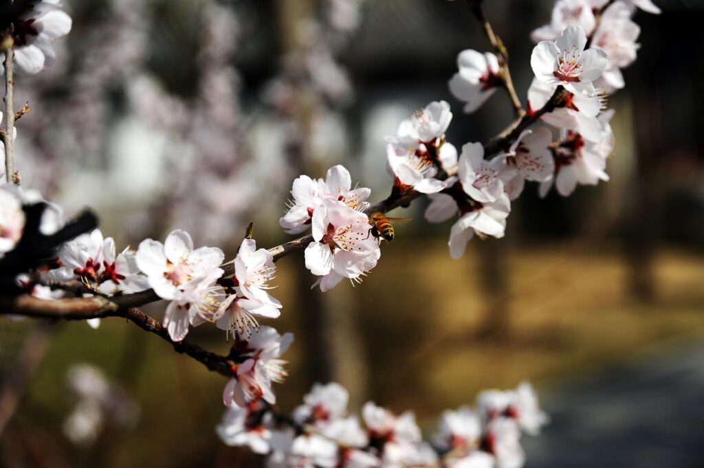 浮気の証拠を効率よく集める方法とは？