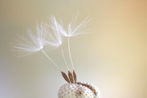 旦那の出張先での浮気を調査する方法は？